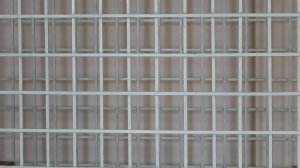 ЗАКЛАДЧИЦУ В КОЛОНИЮ