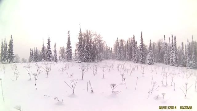 Копия видео "Приисковый" смотреть онлайн