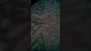 Бракованая камера заднего вида с AliExpress