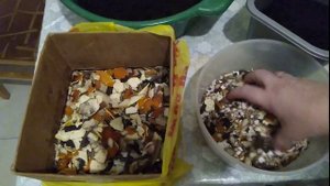 Как сделать живое удобрение в домашних условиях