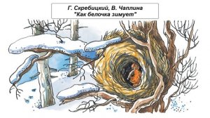 Г. Скребицкий, В. Чаплина "Как белочка зимует"