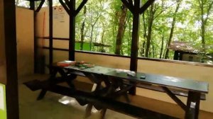 ЛЕРМОНТОВО 2019 КЕМПИНГ ЕНОТ 😼 ОСТОРОЖНО ! ДИКИЕ ЕНОТЫ НОЧЬЮ ТЫРЯТ ЕДУ