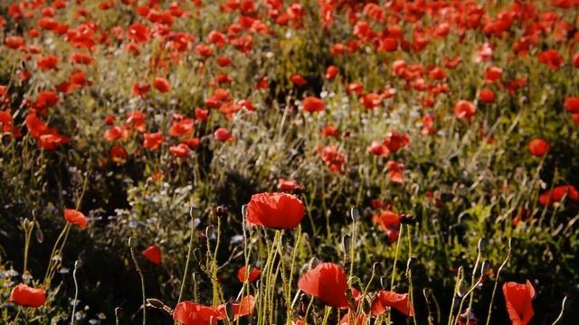Марс в Водолее для мужчин