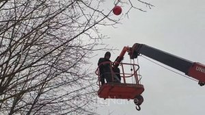 С деревьев в центре Обнинска снимают зимние «яблоки»