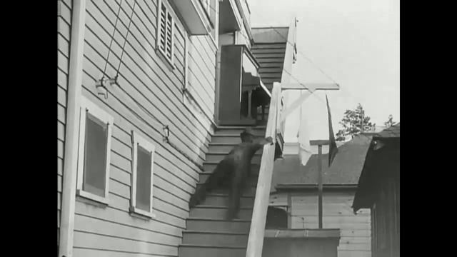 Carregadores de piano Charlie смотреть онлайн