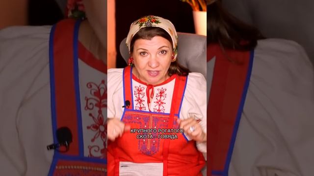 Откуда появилось слово говядина? Курица — курятина. Гусь — гусятина... Ответ вас удивит смотреть онлайн