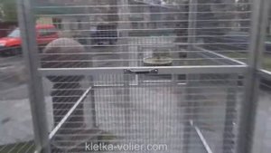 Вольер для корелл и волнистых попугаев. Наконец-то сделали!!! Размер 2 х 2 х 0.8 м.