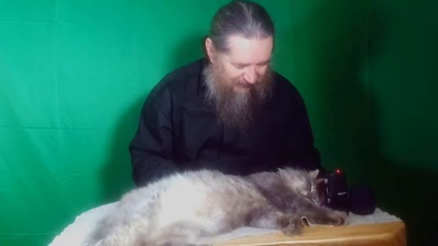 Тюря артист смотреть онлайн