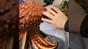 Какой-то психологический триллер от нейросетей:
Дональд Трамп ловит осьминога, готовит его и ест с д