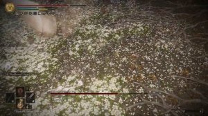 Elden ring Лучший билд на ловкость в игре 1.05 патч