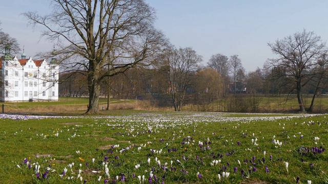 4K Ultra HD Camera Pan: Ahrensburg, Germany - Schloss, Schlosswiese (Castle, Castle Meadow, Flowers смотреть онлайн