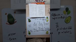 Латынь урок 2. Термины. 1 и 2 склонения существительных и прилагательных