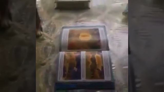 Смотрите  кошка  не  наступает  на Коран ❤️ смотреть онлайн