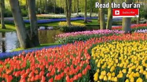 wonderful@beautiful recitation- تلاوة جميلة -красивая кироат-qiroat zebo-курони карим-коран