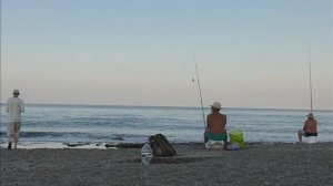 ЛУЧШАЯ НАЖИВКА для МОРСКОЙ РЫБАЛКИ НА ПОПЛАВОК