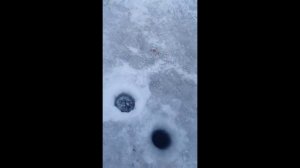 ловля корюшки на Камчатке