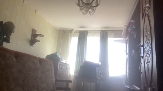 Обработка помещения от клопов смотреть онлайн