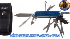 МУЛЬТИТУЛ 47787 «ЗУБР» 17 В1