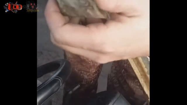 ПОДБОРКА ЖЕСТИ НА СТО #16