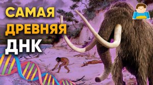 Обнаружена самая древняя ДНК возрастом более 1 000 000 лет! | Plushkin