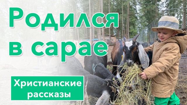 ? Родился в сарае - ИНТЕРЕСНЫЙ ХРИСТИАНСКИЙ РАССКАЗ | Христианские рассказы смотреть онлайн