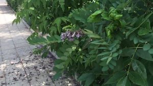 Санаторий Эльтон  Территория