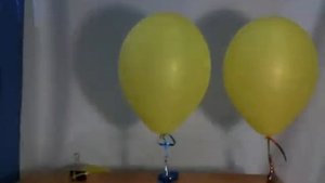 Жизнь воздушного шарика за несколько секунд