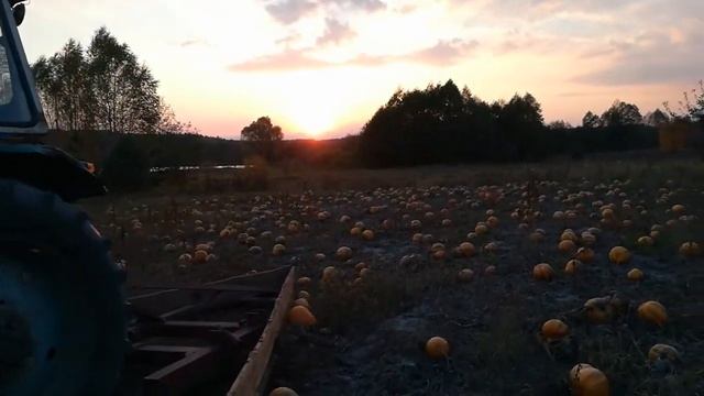 ЮМЗ 6 валкує гарбузи тикву смотреть онлайн