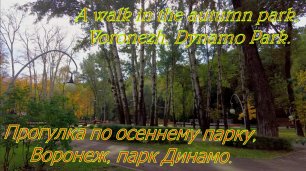 Прогулка по осеннему парку, Воронеж, парк Динамо. A walk in the autumn park,Voronezh, Dynamo Park.