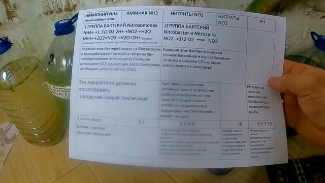 первое подлёдное внесение хлореллы в пруд у дома.Хлорелла и азотный цикл в пруду с карпами Кои. смотреть онлайн