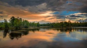 Relaxante Música - SONS DA NATUREZA - Para você meditar e acalmar a mente, relaxar e até dormir!