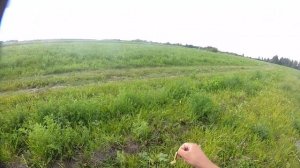 Ловля жереха на малых реках