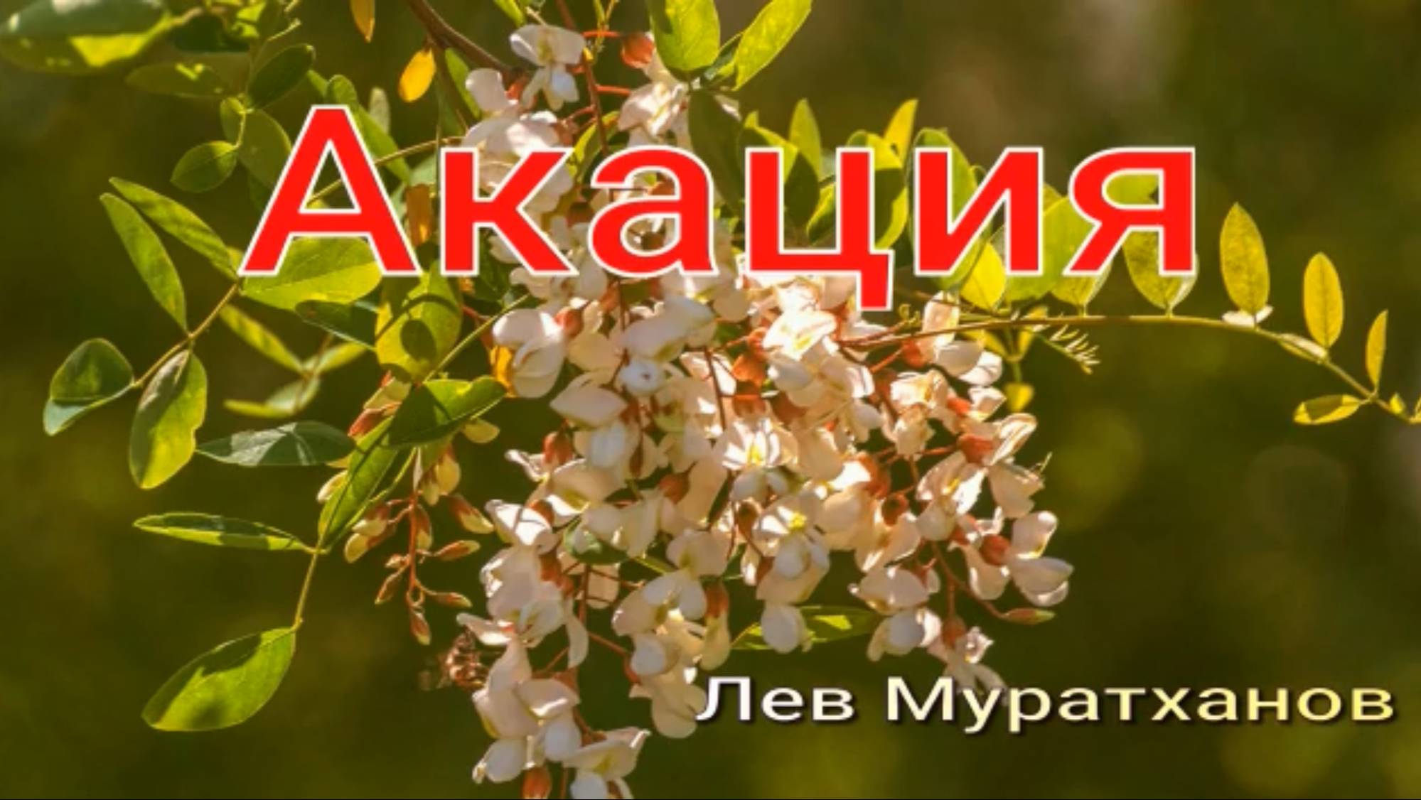 «АКАЦИЯ» Душевные песни