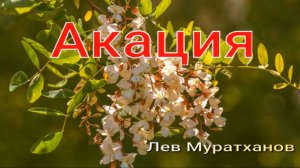«АКАЦИЯ» Душевные песни
