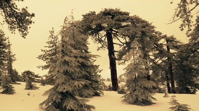 Болезнь тела - это красный сигнал светофора смотреть онлайн