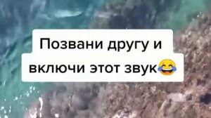 позвони другу и включи этот звук!!!
