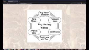 Bug hunting in Python: Maria McKinley