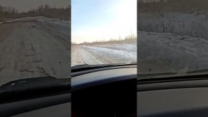 Дорога липин бор  на белозерск