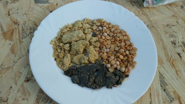 Повышаем яйценоскость и иммунитет птицы! Ускоряем линьку у кур несушек!