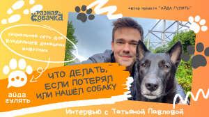 Что делать если потерял или нашел собаку