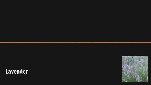 GardenDC Podcast Episode 109: Lavender смотреть онлайн