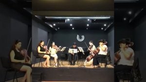 Johannes Brahms Clarinet Quintet  1st movement (rehearsal)