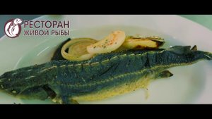 Ресторан живой рыбы Курорт Солнечная долина Миасс