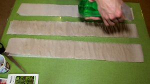 Посев семян в закрутки (томаты и огурцы)