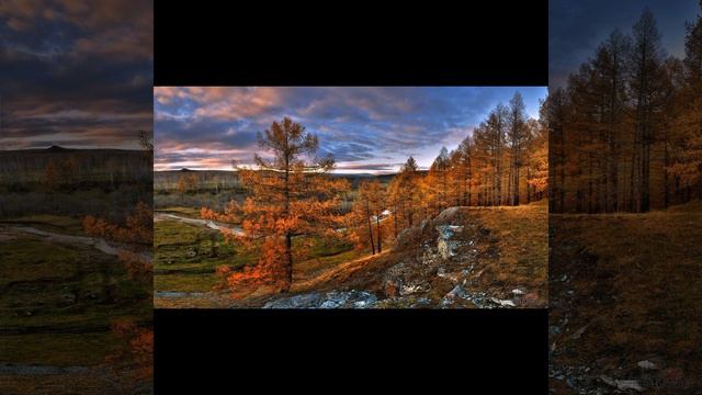 Георг Фридрих Гендель. Сюита № 7. Пассакалья