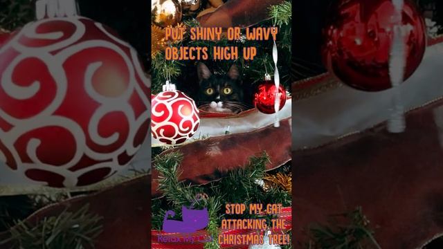 How To STOP Your Cat Attacking the Christmas Tree! #cats #christmas