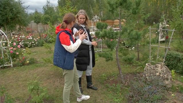 Учебный сад. Проекты выпускников школы ландшафтного дизайна Терра смотреть онлайн