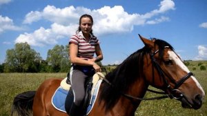 Одели седло на молодую лошадь. Всадник на молодой лошади