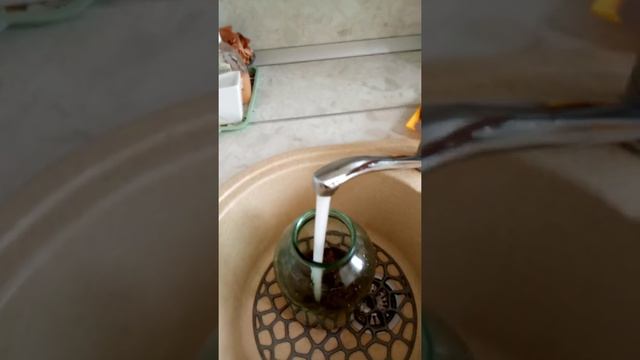 Универсальный рецепт домашнего кваса. смотреть онлайн