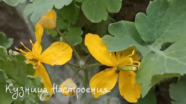 27 апреля Мартынов День. Что нельзя делать 27 апреля. Народные традиции и приметы